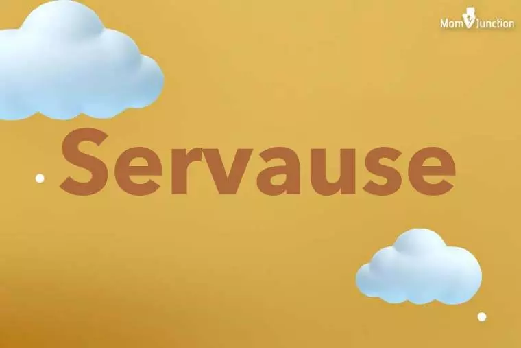 Servause 3D Wallpaper