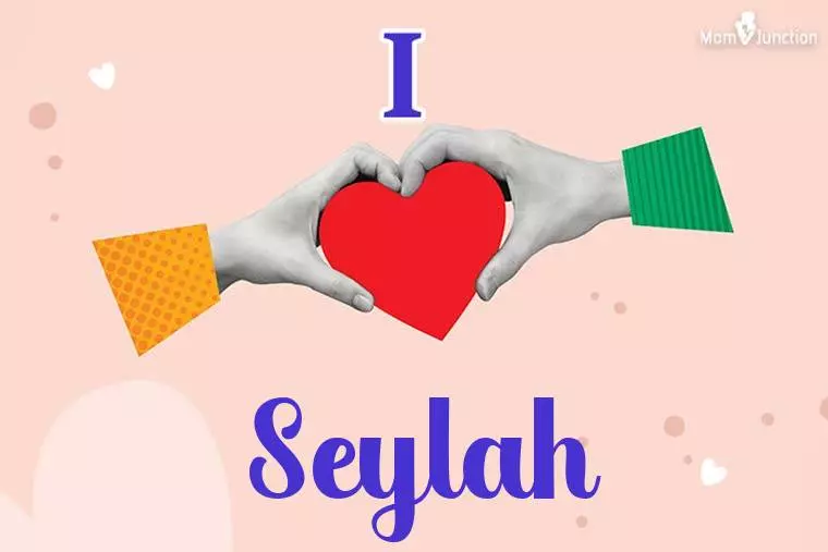 I Love Seylah Wallpaper