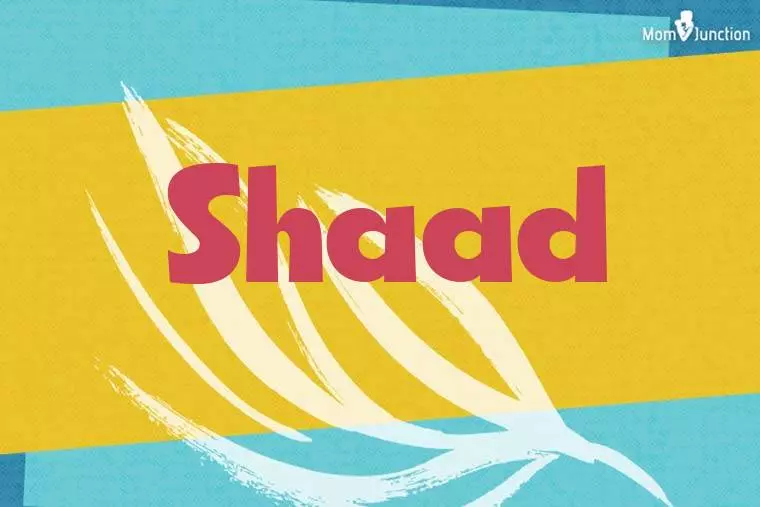 Shaad Stylish Wallpaper