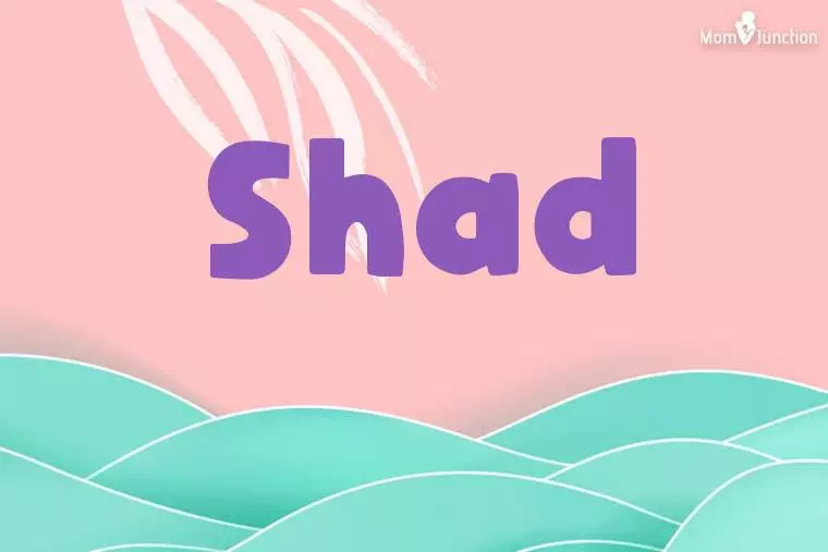 Shad Stylish Wallpaper