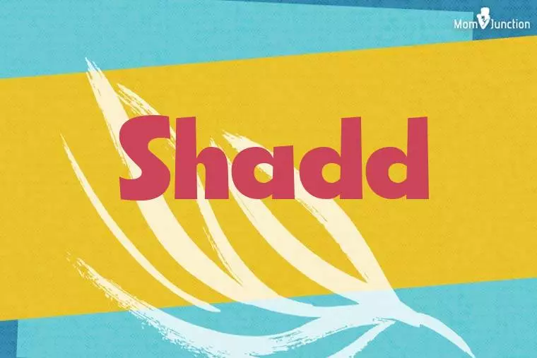 Shadd Stylish Wallpaper