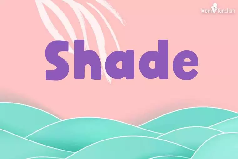 Shade Stylish Wallpaper