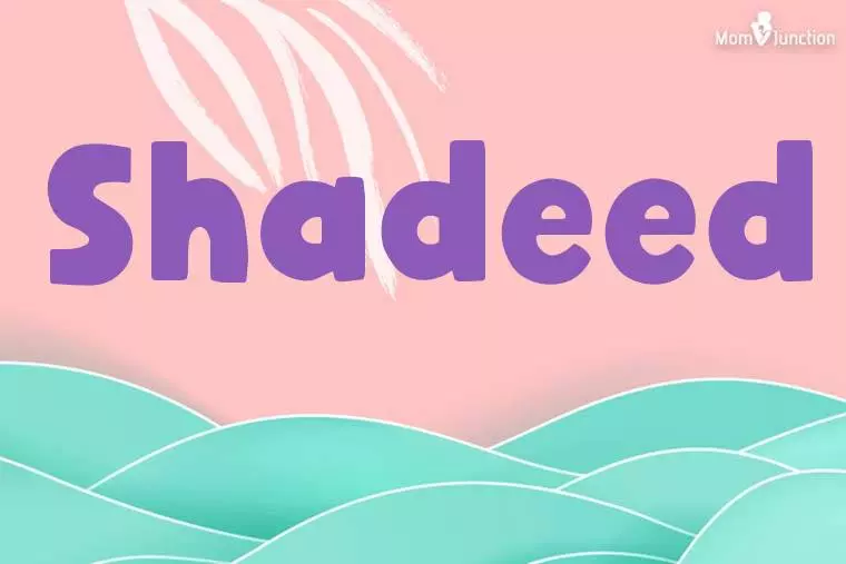 Shadeed Stylish Wallpaper