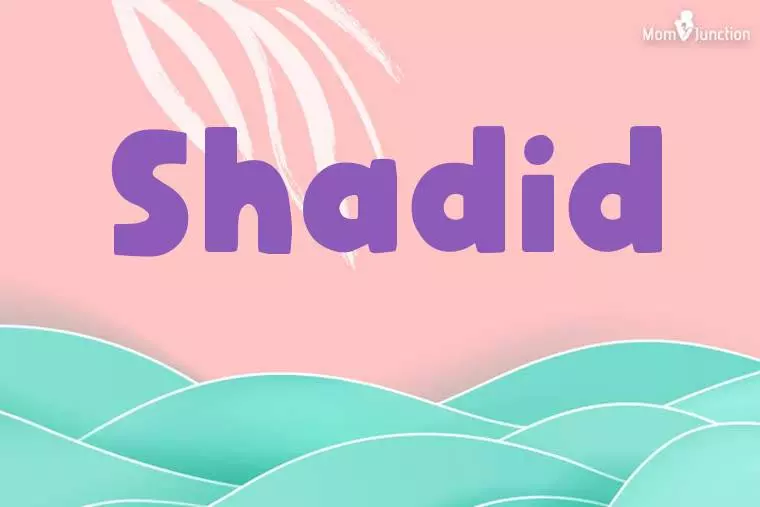 Shadid Stylish Wallpaper