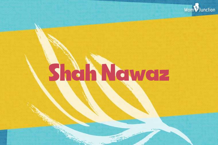 Shah Nawaz Stylish Wallpaper