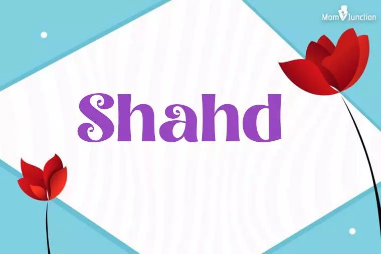 Shahd 3D Wallpaper