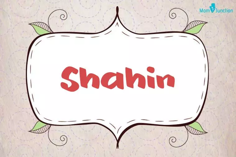 Shahin Stylish Wallpaper