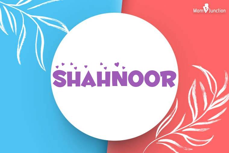 Shahnoor Stylish Wallpaper