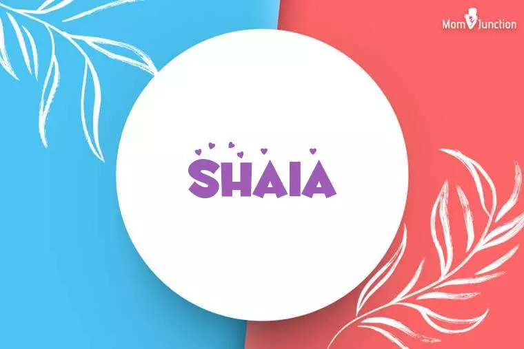 Shaia Stylish Wallpaper