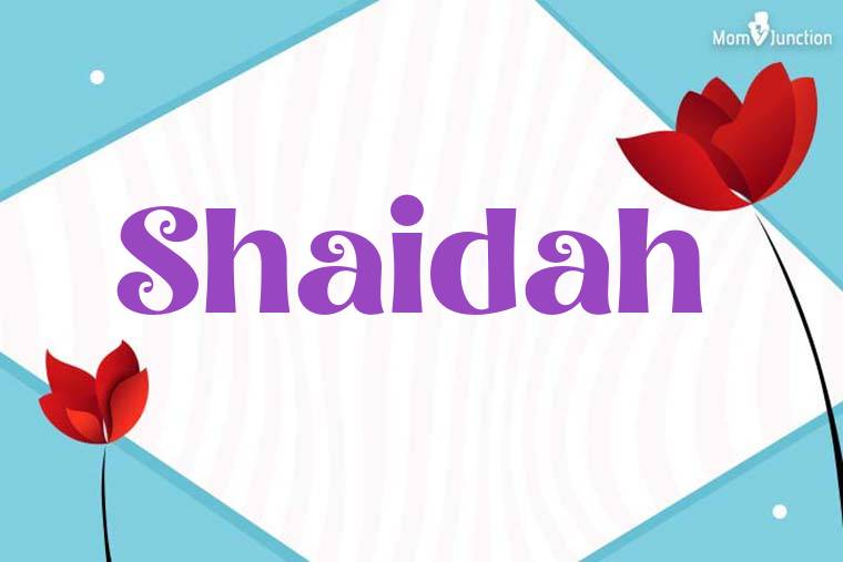 Shaidah 3D Wallpaper