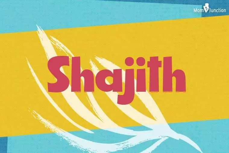 Shajith Stylish Wallpaper