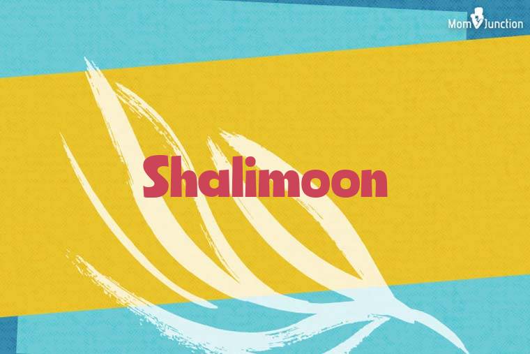 Shalimoon Stylish Wallpaper