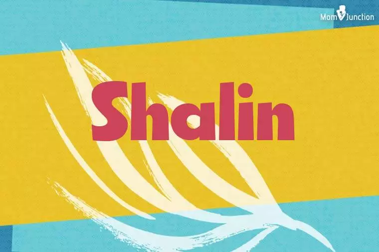 Shalin Stylish Wallpaper