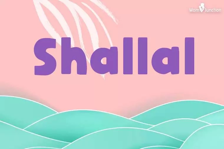 Shallal Stylish Wallpaper