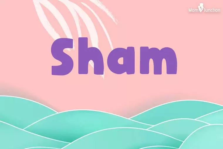 Sham Stylish Wallpaper