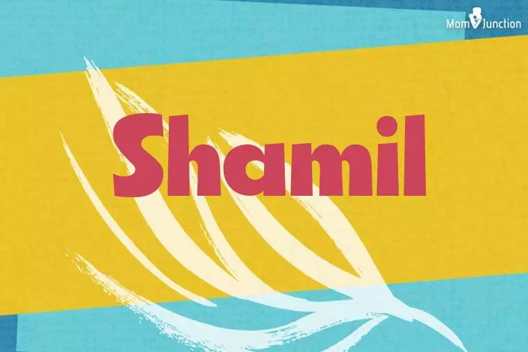 Shamil Stylish Wallpaper