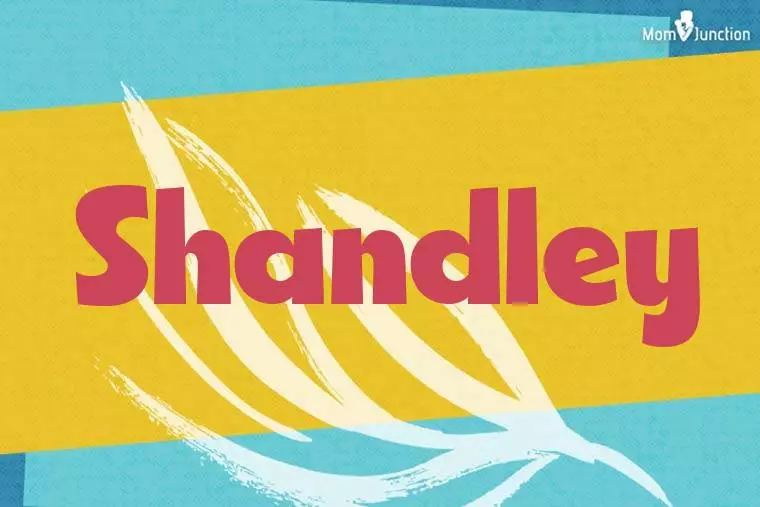 Shandley Stylish Wallpaper