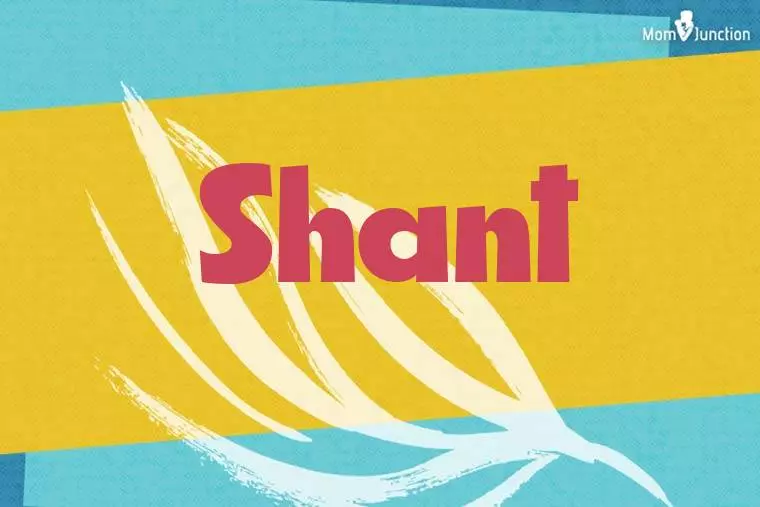 Shant Stylish Wallpaper