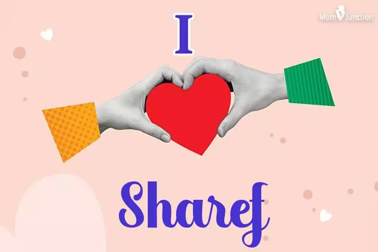 I Love Sharef Wallpaper