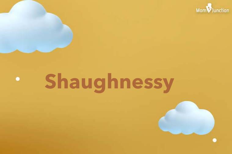 Shaughnessy 3D Wallpaper