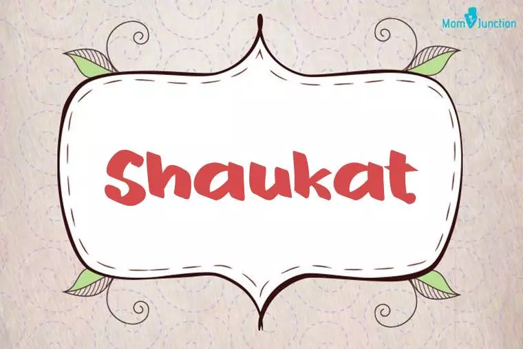 Shaukat Stylish Wallpaper