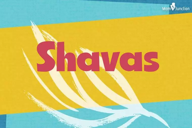 Shavas Stylish Wallpaper