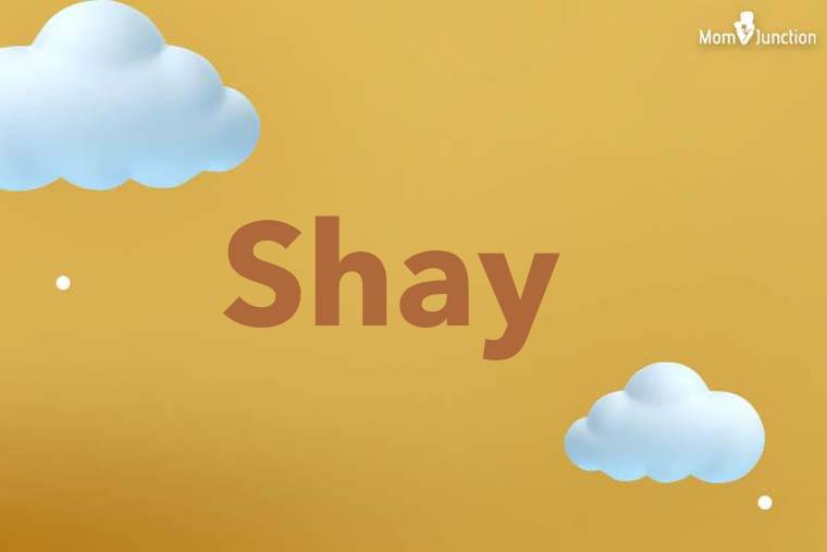 Shay 3D Wallpaper