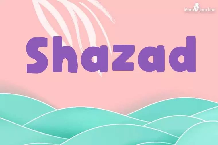 Shazad Stylish Wallpaper