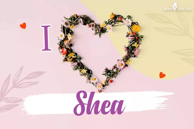 I Love Shea Wallpaper