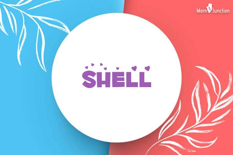 Shell Stylish Wallpaper