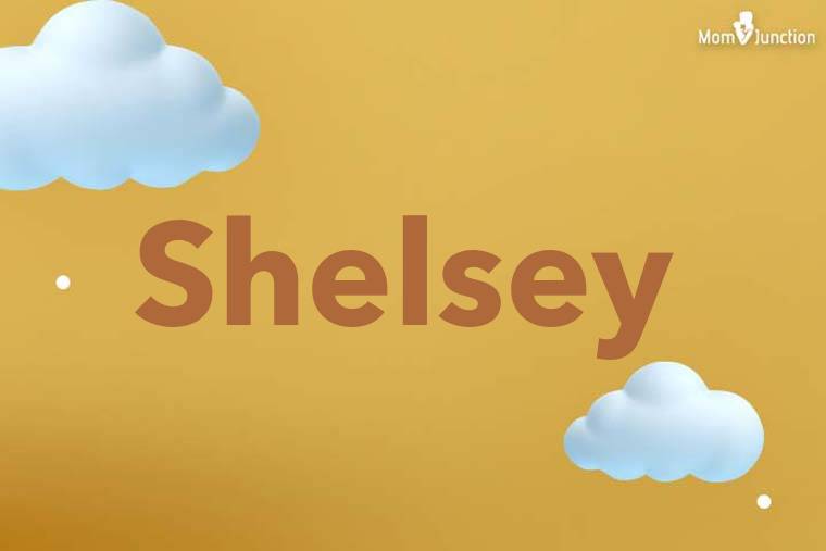 Shelsey 3D Wallpaper