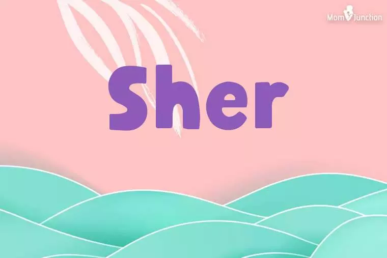 Sher Stylish Wallpaper