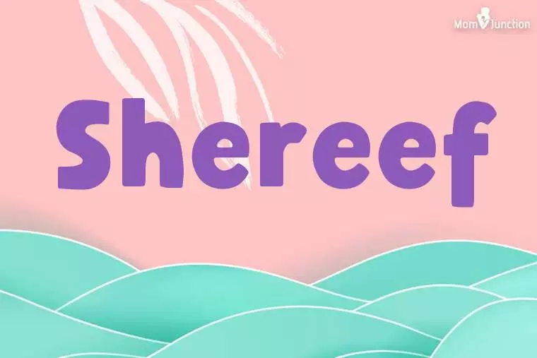 Shereef Stylish Wallpaper