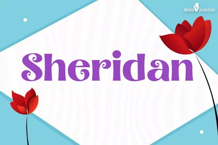 Sheridan 3D Wallpaper