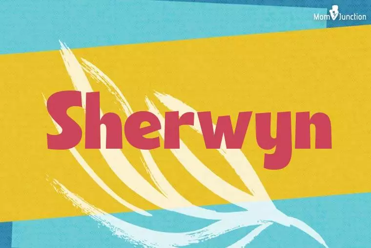 Sherwyn Stylish Wallpaper