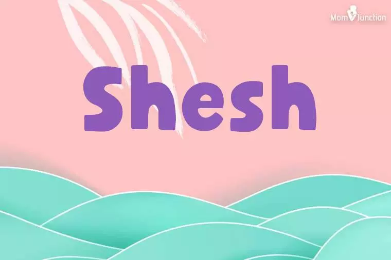 Shesh Stylish Wallpaper