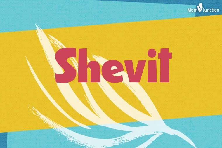 Shevit Stylish Wallpaper
