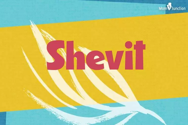 Shevit Stylish Wallpaper