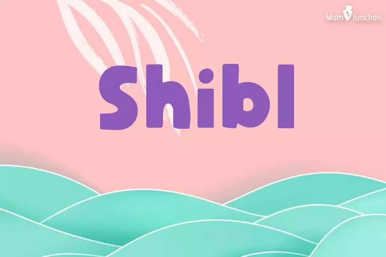 Shibl Stylish Wallpaper