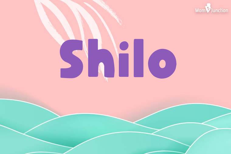 Shilo Stylish Wallpaper