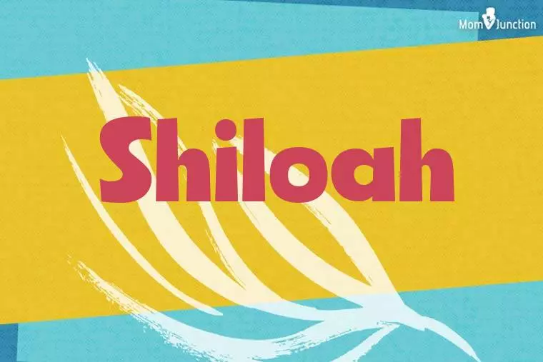 Shiloah Stylish Wallpaper