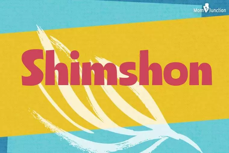 Shimshon Stylish Wallpaper