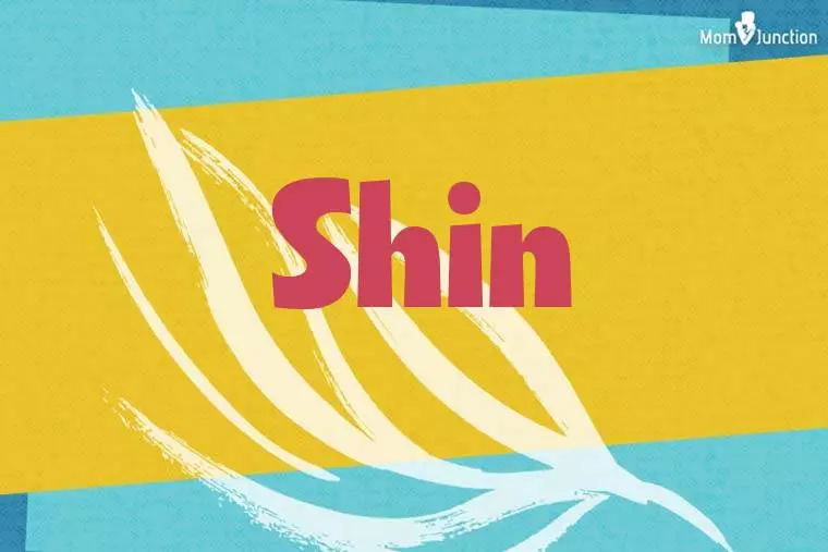 Shin Stylish Wallpaper