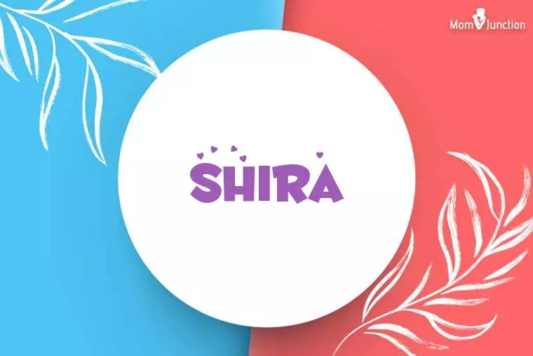 Shira Stylish Wallpaper