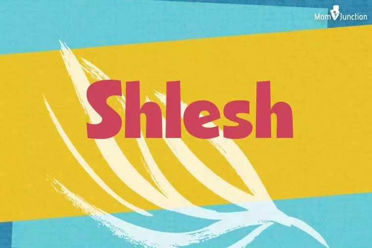Shlesh Stylish Wallpaper