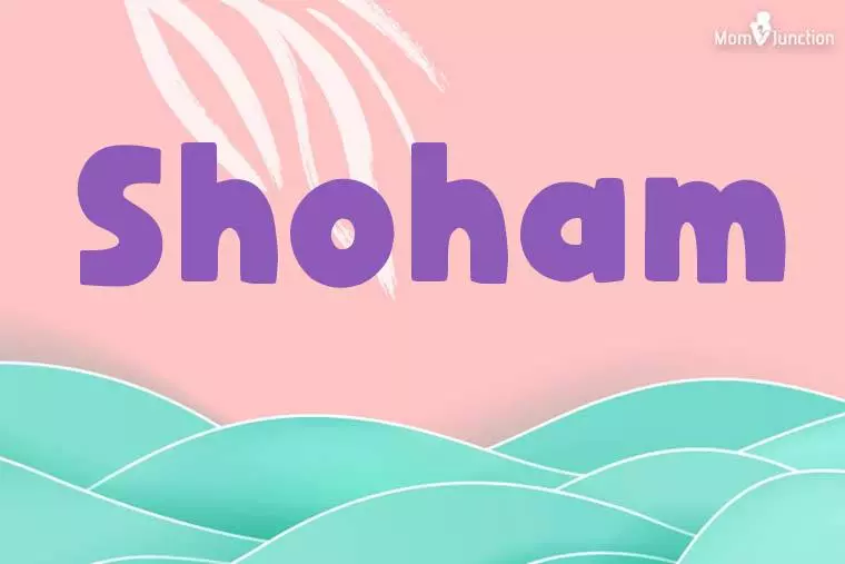 Shoham Stylish Wallpaper