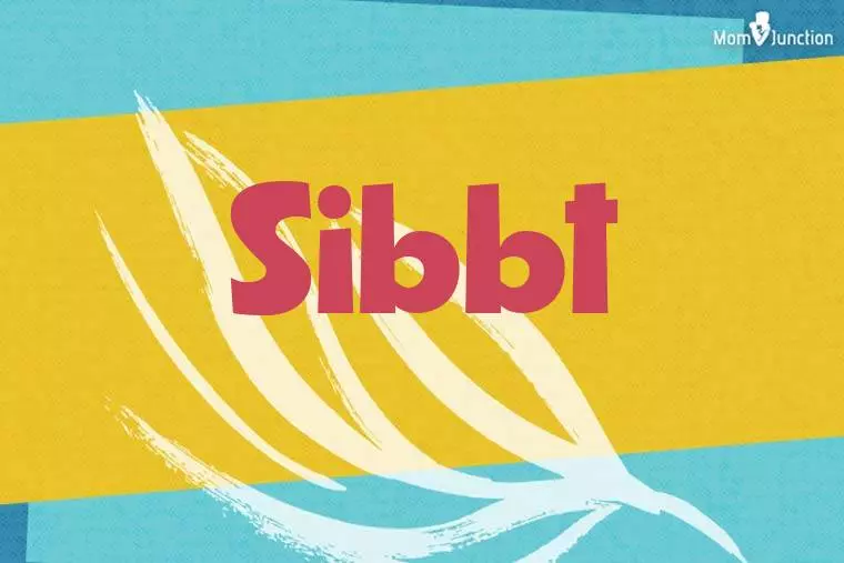 Sibbt Stylish Wallpaper