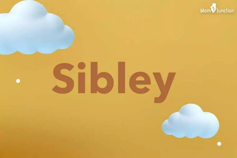 Sibley 3D Wallpaper