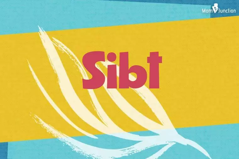 Sibt Stylish Wallpaper