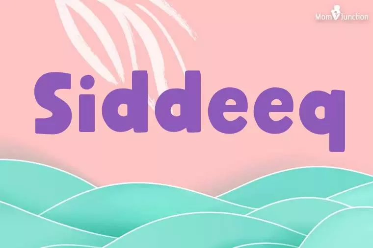 Siddeeq Stylish Wallpaper